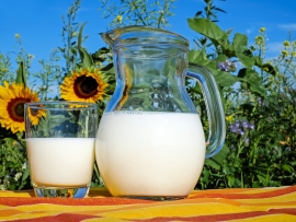 milk pitcher resized blog